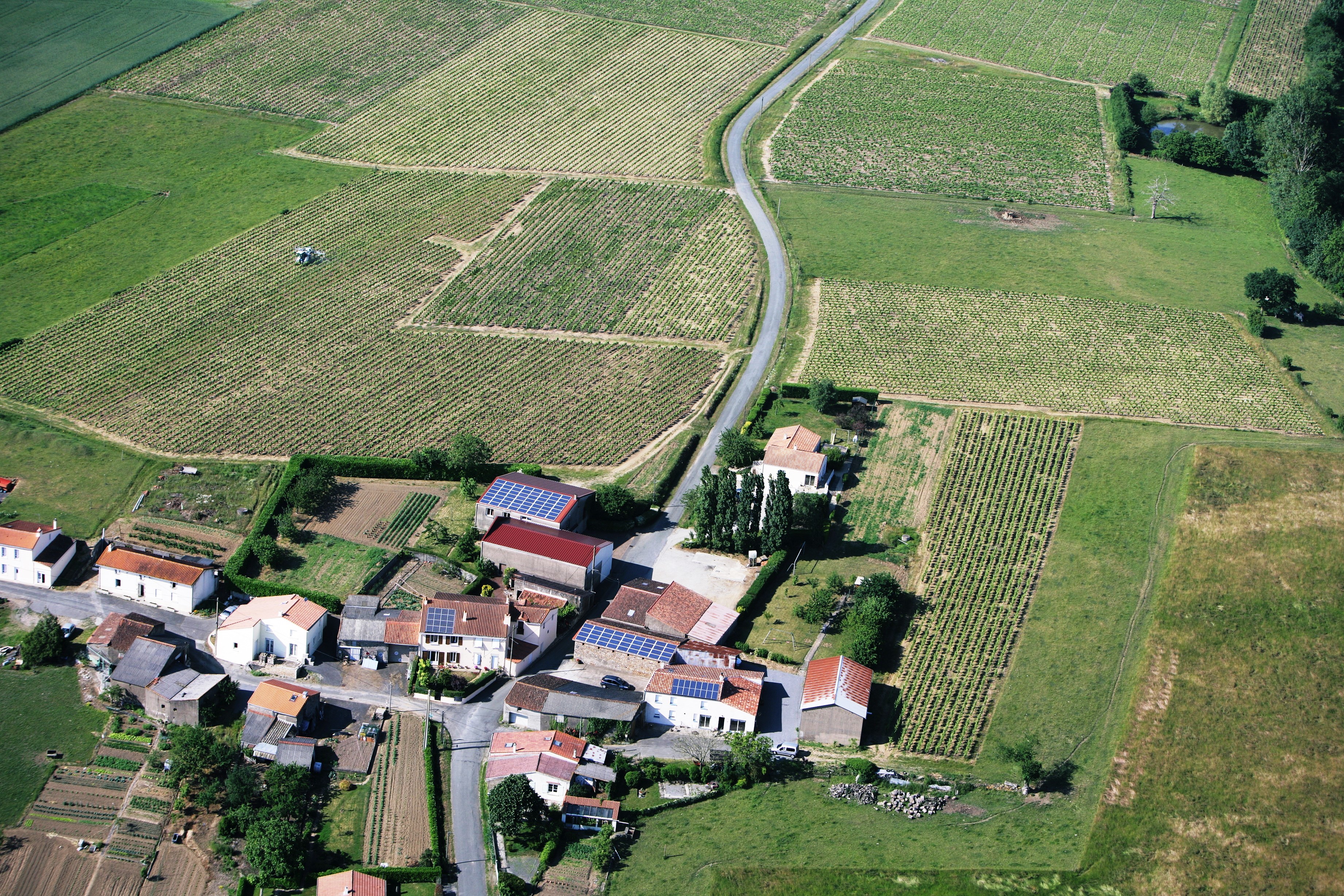 vignoble-vue-du-ciel-2